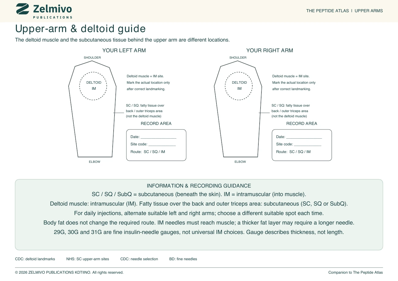 Upper-arm explanation page distinguishing subcutaneous tissue and the deltoid muscle